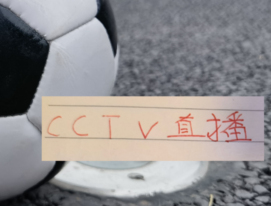 8868体育登录入口-喜讯！海港的比赛有CCTV直播 再加上加布里回春 上海德比能稳吗